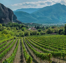 Load image into Gallery viewer, Vineyards in Nemea
